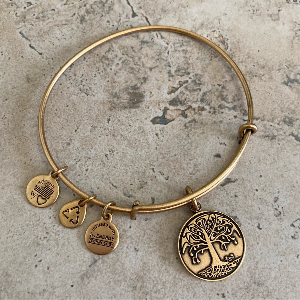 NWOT Alex and Ani Bracelet Bangle